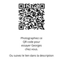 Georges Cuir de Poisson et Nubuck Vigne Rouge