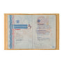 Louis Grained Leather Passport Holder Blue Sky